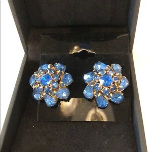 Beautiful Vintage Screw Back Blue Jeweled Earrings